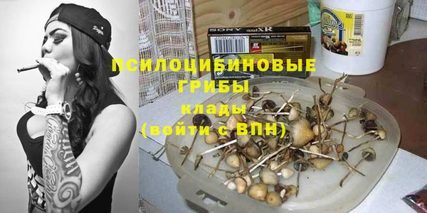 не бодяженный Пересвет