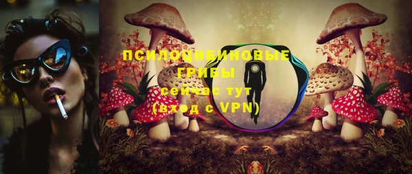 не бодяженный Пересвет