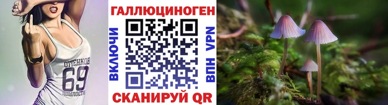что такое   Баймак  Галлюциногенные грибы мицелий 